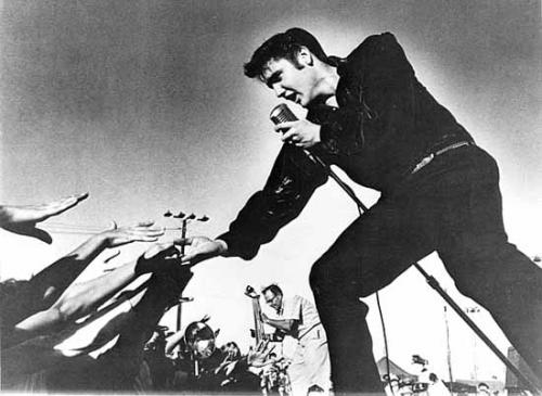 Horizontal Elvis Presley